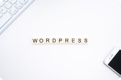 WordPress Niche